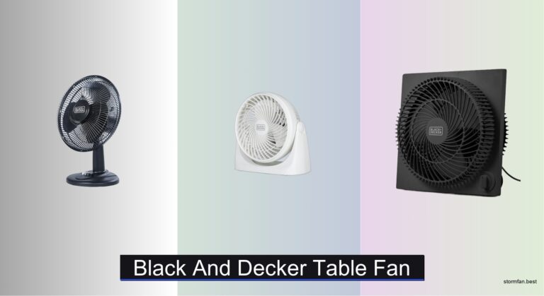 6 Best Black and Decker Table Fans of 2026
