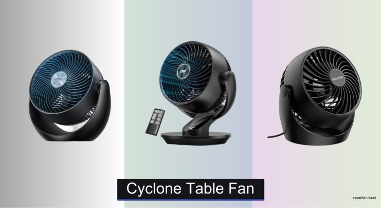 7 Best Cyclone Table Fans of 2026