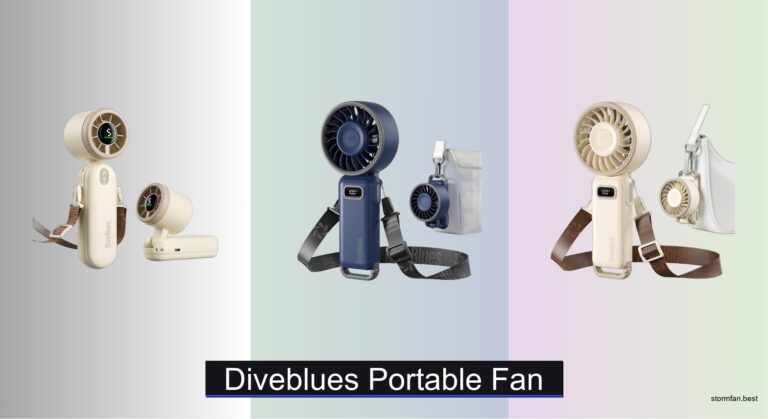 6 Best DiveBlues Portable Fans of 2026