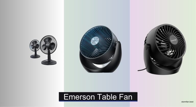 5 Best Emerson Table Fans of 2026