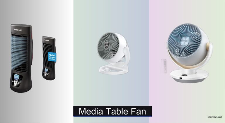 8 Best Media Table Fans of 2026