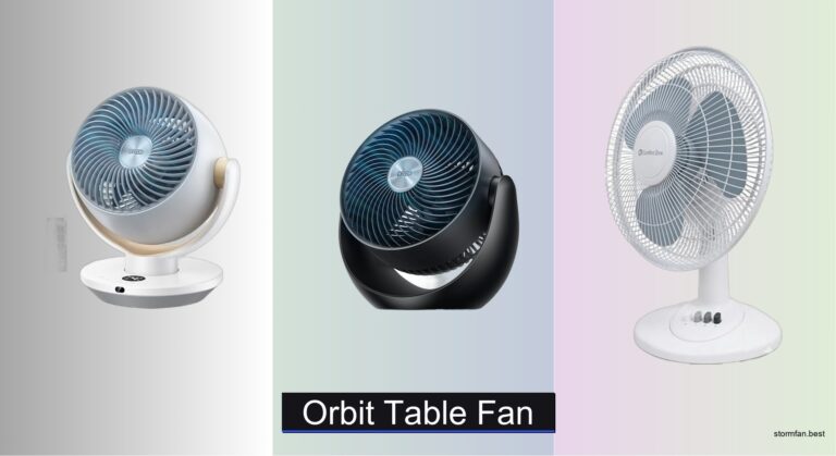 7 Best Orbit Table Fans of 2026
