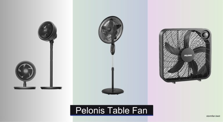 6 Best Pelonis Table Fans of 2026