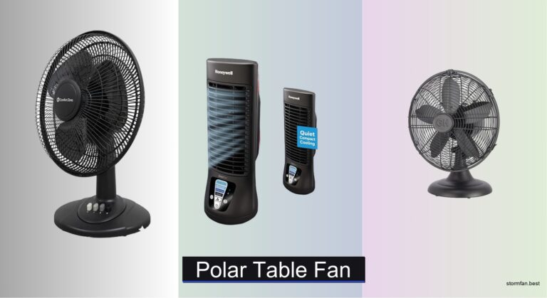7 Best Polar Table Fans of 2026