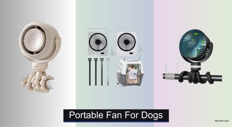 7 Best Portable Fans for Dogs (2026 Guide)