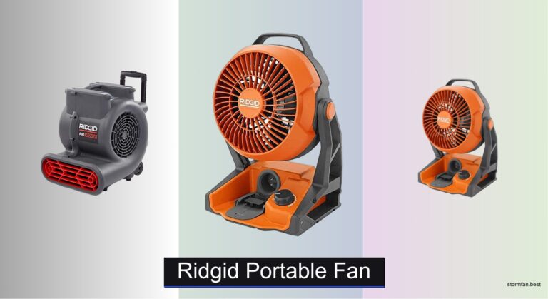 3 Best RIDGID Portable Fans of 2026