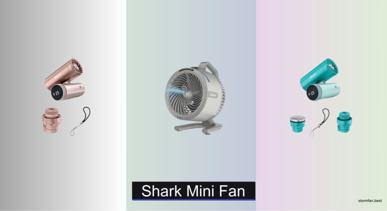 3 Best Shark Mini Fans of 2026