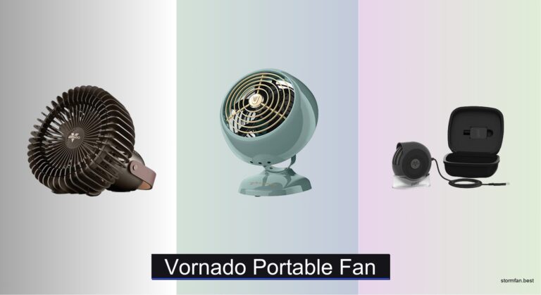 7 Best Vornado Portable Fans of 2026