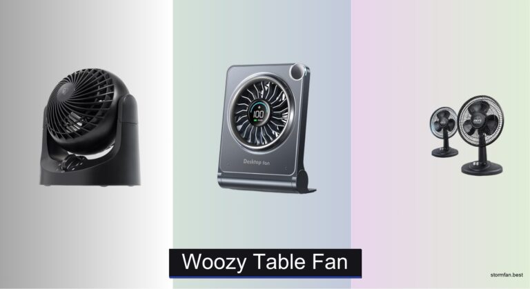 7 Best Woozy Table Fans of 2026